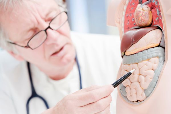 A doctor explaining about gut health.