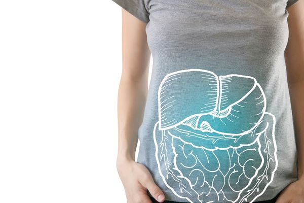 Probiotics improving gut health and digestion