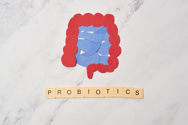 Daily probiotics promoting strong gut flora