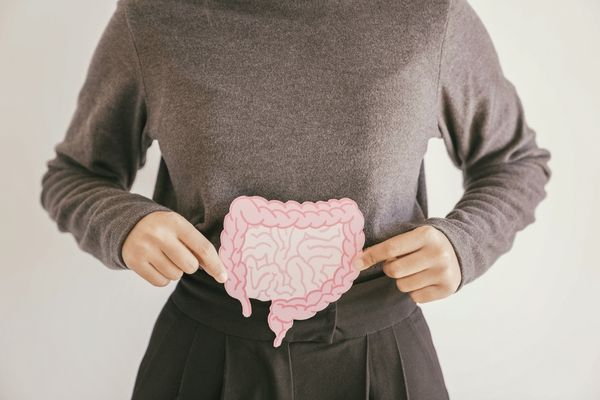 Probiotics promoting healthy digestive system balance