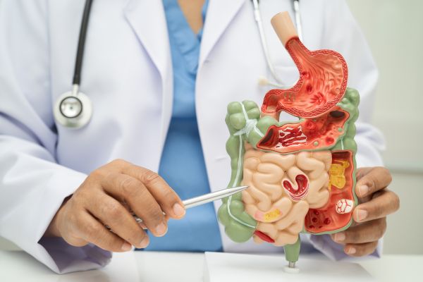 A doctor explains about the digestive system.