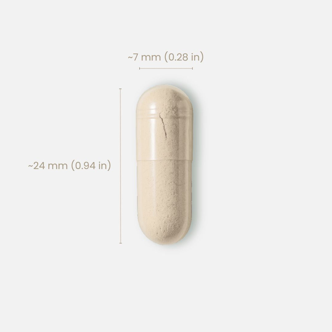 纳豆激酶营养配方｜12000FU 4
