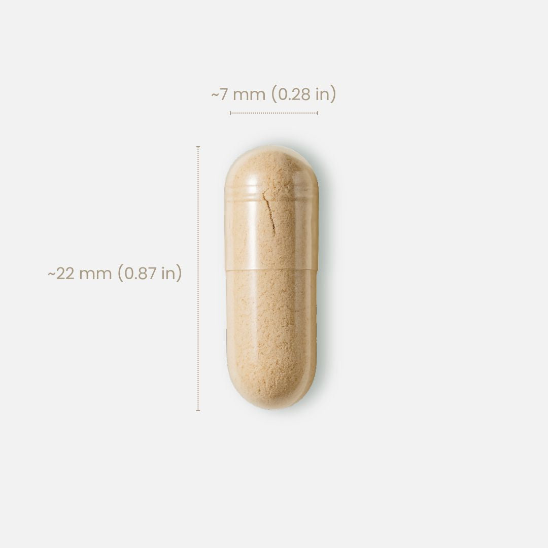 CoQ10 泛醇 100 mg + PQQ 20 mg 5