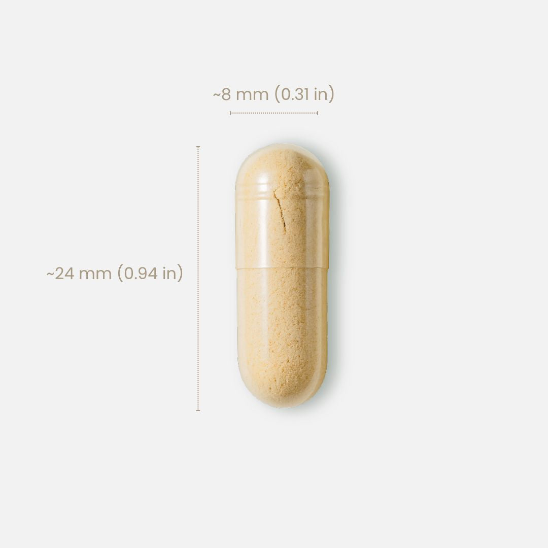 生物活性 B100 + 专利 PQQ 4