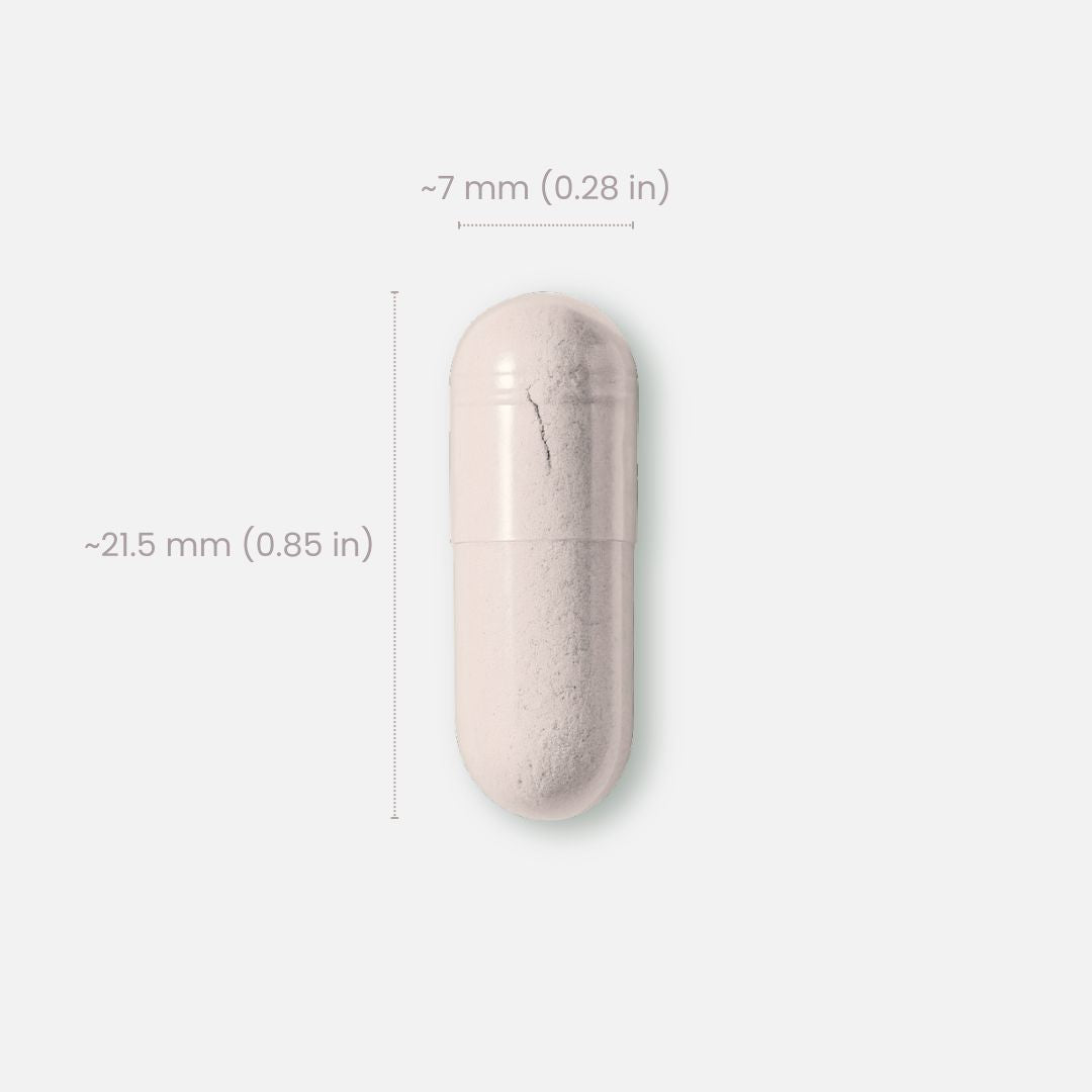 麦角硫因 + PQQ 营养配方 4