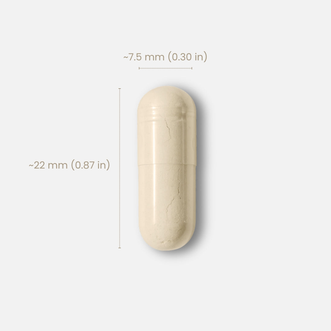 纳豆激酶心血管营养 - 12000FU 复方 4