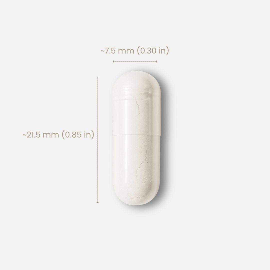 同型半胱氨酸营养 - 活性叶酸·甜菜碱双通路 4
