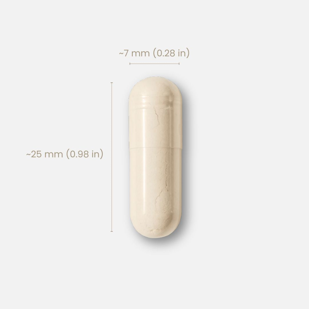 Panta 免疫细胞防御 5 4