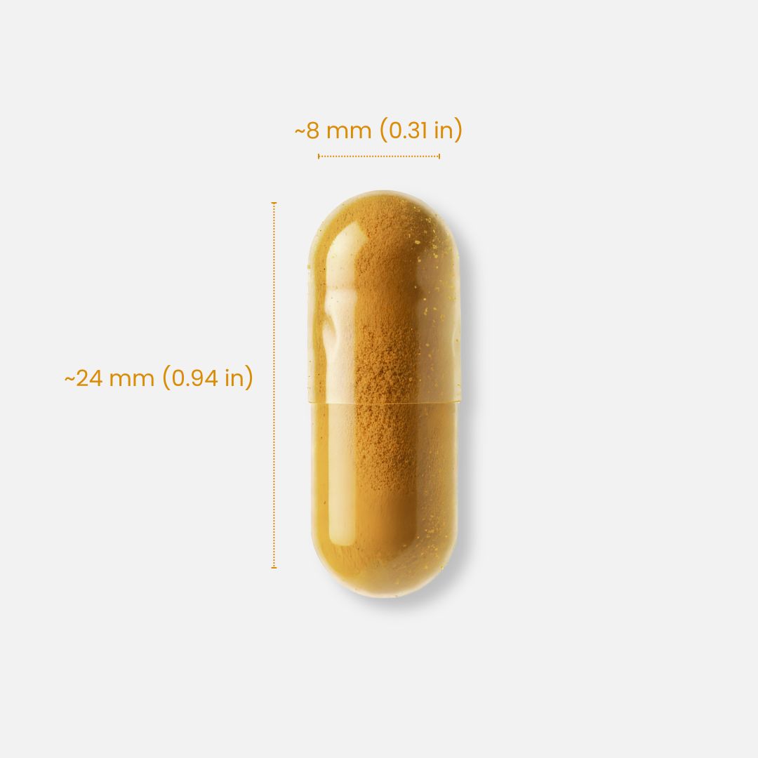 肝脏支持配方 4